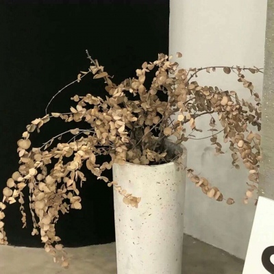 Furry插画线稿分享FurryQQ群